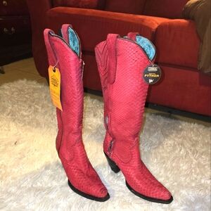 Red python tall top full exotic